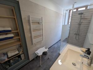 une salle de bain avec lavabo et douche dans l'établissement Gîte du Grand Duc à Châteauvillain, Parc national de forêts - FR-1-611-94, à Châteauvillain 14 autres photos