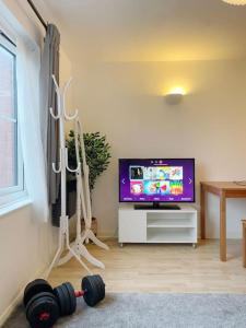 a living room with a television and a vacuum at Colliers Wood 1 Bed South London Short Stay in Mitcham