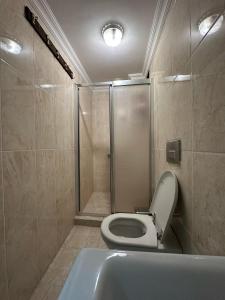 a bathroom with a toilet and a shower and a sink at Sophia Studio Apart Hotel in Istanbul