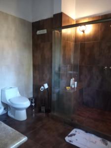 プンタ・デル・エステにあるChiquenseのバスルーム(トイレ、ガラス張りのシャワー付)