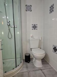 uma casa de banho com um WC e uma cabina de duche em vidro. em Refúgio de Velada - Nisa em Nisa