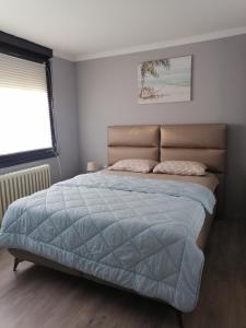 una camera con letto e piumone blu di Kingston a Pirot