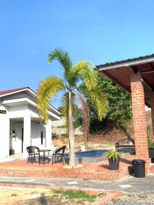 uma palmeira em frente a uma casa em Rooma Kichi Private Pool em Pantai Cenang