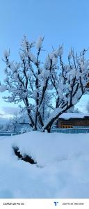 Imagine din galeria proprietății The Himalayan Inn homestay în Gulmarg