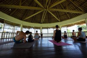 um grupo de pessoas sentadas numa sala a fazer yoga em Private Beachescape - Amansinaya Beachhouse Mindoro em Bulalakao