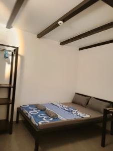 - une chambre avec un lit et une échelle dans l'établissement Shawe pension house, à San Remigio