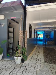 un couloir d'un immeuble avec des plantes au sol dans l'établissement Shawe pension house, à San Remigio
