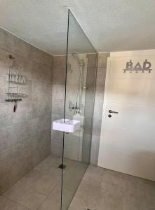 ein Bad mit einer Dusche mit einem Waschbecken und einer Tür in der Unterkunft Charmante Ferienwohnung in ruhiger Wohnlage, 60qm in Marburg an der Lahn