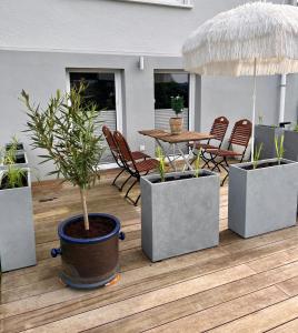 a patio with four potted plants and a table and chairs at Charmante Einliegerwohnung, 3 Zimmer in ruhiger Wohnlage, 60qm, mit gemütlicher Südterrasse in Marburg an der Lahn