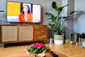 uma televisão em cima de uma cómoda com flores em Hacienda Susana em Bad Harzburg