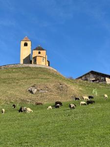 a herd of animals grazing on a hill with a lighthouse at Ustreia Orta in Lohn
