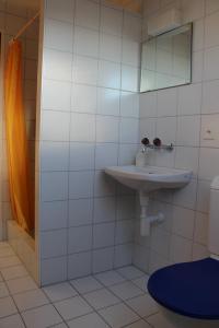 Kopalnica v nastanitvi Wirtshaus Rütihof