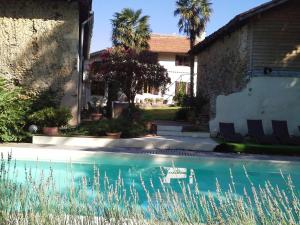 a swimming pool in front of a house with palm trees at Maison d'hôtes Brameloup Jardin Ovale in Coudures
