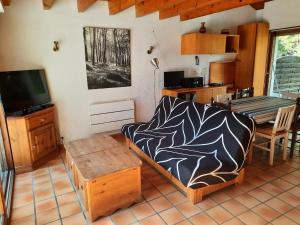 Televízia a/alebo spoločenská miestnosť v ubytovaní Villa confortable à Seignosse : plage, commerces et piste cyclable à proximité - FR-1-239-771