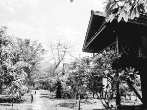 uma foto a preto e branco de uma casa e árvores em Bamboo House em Parque Nacional de Khao Sok