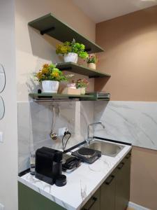 a kitchen with a sink and some plants on shelves at Center Cozy Nest in Tirana