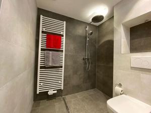 a bathroom with a shower and a toilet and a sink at Black Forest Nest in Todtmoos