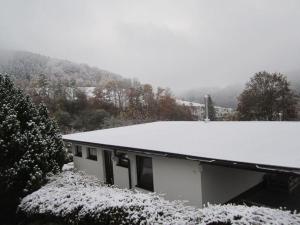 施馬倫貝格的住宿－Deimann Modern retreat，雪盖屋顶的房子