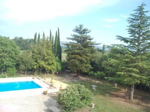 カヴァイヨンにあるCamargue Modern retreatの庭園のスイミングプール像 +18枚の写真