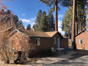 a small cabin in the woods with a picnic table at Creek Runner's Lodge in Big Bear Lake