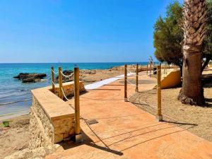 a path on a beach with a tree and the ocean at L'Ampolla, sol y mar in L'Ampolla