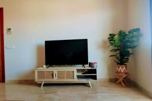 a flat screen tv on a stand in a living room with a plant at L'Ampolla, sol y mar in L'Ampolla