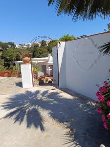 une ombre d'un palmier sur un mur blanc dans l'établissement B&B Villa Cristina, à Anacapri