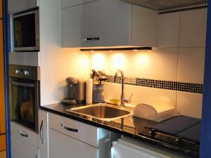 cocina con fregadero y encimera en Studio Villard-de-Lans, 1 pièce, 5 personnes - FR-1-761-24 en Villard-de-Lans