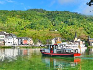 a boat floating on the water in a river at Ferienwohnung Katharina I in Alf