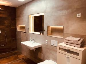 ein Badezimmer mit einem Waschbecken, einem WC und einem Spiegel in der Unterkunft Penthouse Apartment mit Alpenblick in Friedrichshafen