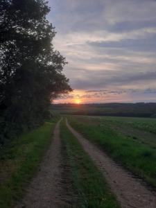 a dirt road in a field with the sunset in the background at Maison Bienvenue chez Mémé in Treigny