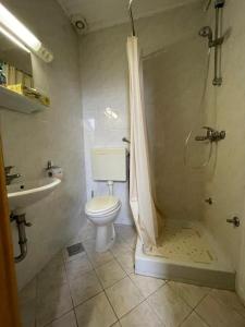 uma casa de banho com um WC, um chuveiro e um lavatório. em APARTMANI VISOLE em Slovenska Bistrica