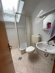 a bathroom with a toilet and a shower and a sink at APARTMANI VISOLE in Slovenska Bistrica