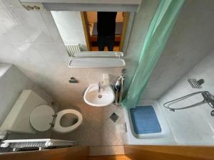 uma pequena casa de banho com WC e lavatório em APARTMANI VISOLE em Slovenska Bistrica