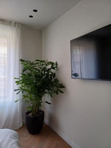 una planta en una habitación con TV en la pared en The Bakery en De Haan