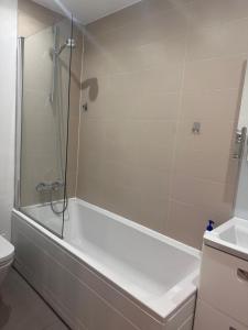 a bathroom with a shower and a tub and a toilet at Gallery Apartments in London