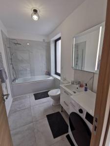 Ένα μπάνιο στο Giulia Appart Mairieux +21 φωτογραφίες