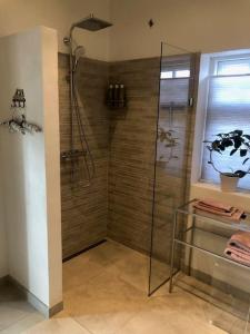 baño con ducha y puerta de cristal en Cozy, quiet guest house perfect for business or pleasure, en Hillerød