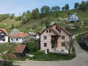 a group of houses with a hill in the background at Vila Monica in Bran