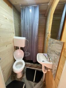 uma pequena casa de banho com WC e lavatório em Bungalov Perovic em Andrijevica