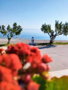 a view of a beach with a house in the background at ILIOPOULOS Apartments in Mourteri