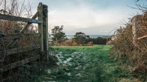 Příroda nedaleko prázdninového domu + 20 fotografií