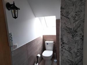 トレッビンにあるAbendteuer Dachbodenのバスルーム(白いトイレ、窓付)
