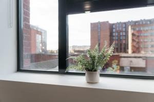 a potted plant sitting on a window sill at Modern 1 Bed Apartment in Liverpool Centre in Liverpool