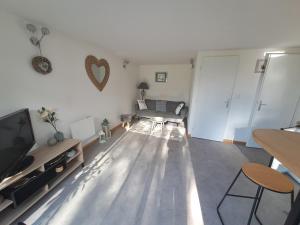 a living room with a couch and a tv at Les Glycines in Salles-la-Source