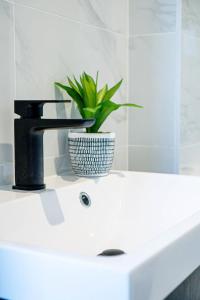 lavabo con grifo y planta en Stunning 1 Bed Apartment in Burton-on-Trent, en Burton upon Trent