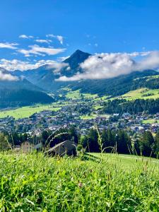 a view of a city from a grassy hill at Heissgut in Altenmarkt im Pongau
