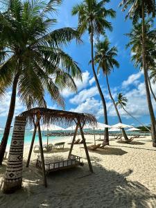 a hammock on a beach with palm trees and the ocean at Samura Maldives Guest House Thulusdhoo in Thulusdhoo