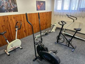 Γυμναστήριο ή/και όργανα γυμναστικής στο Sport Hotel Gejzirpark