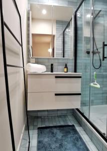ein Bad mit einem Waschbecken und einer Glasdusche in der Unterkunft Confortable et cosy appartement en centre-ville in Aix-en-Provence